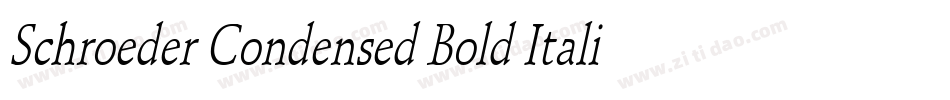 Schroeder Condensed Bold Italic字体转换